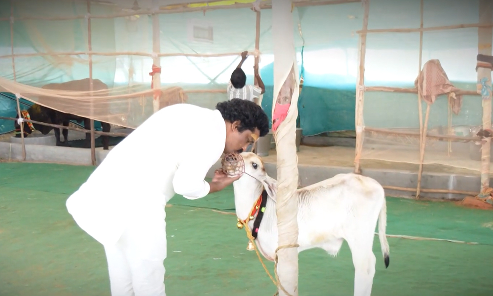 Sri Punyalingeswara Swamy Kshetram