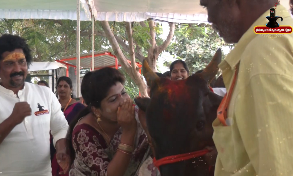 Sri Punyalingeswara Swamy Kshetram