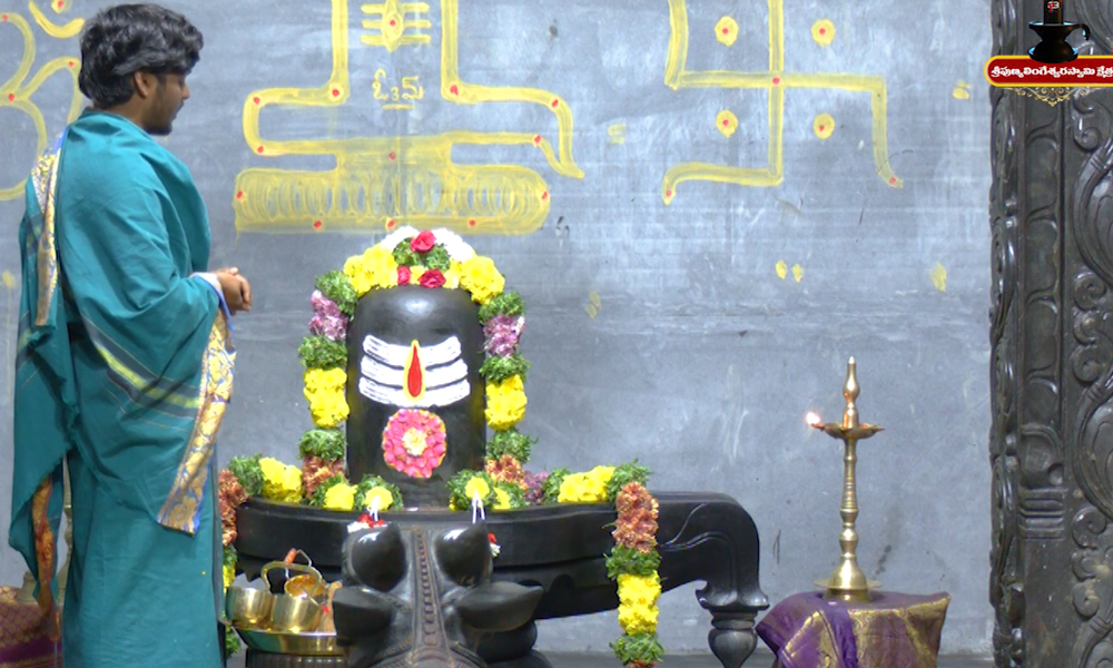 Sri Punyalingeswara Swamy Kshetram