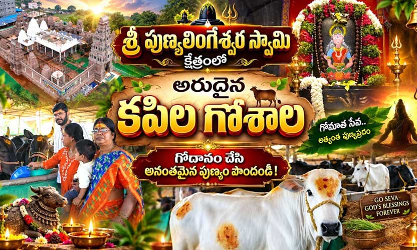 Sri Punyalingeswara Swamy Kshetram