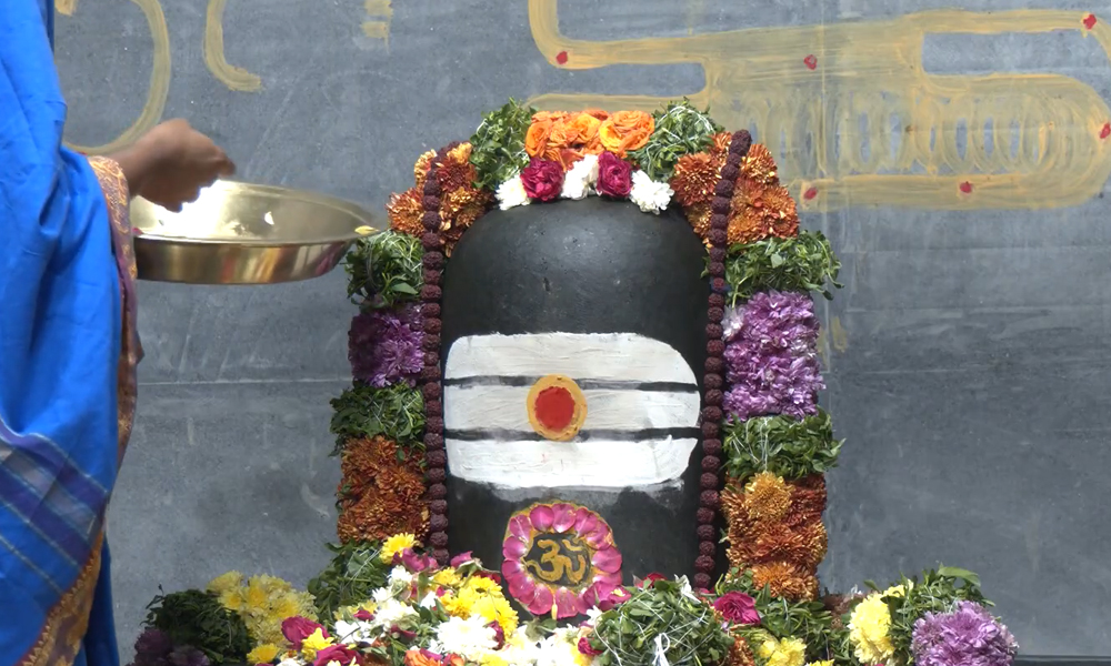 Sri Punyalingeswara Swamy Kshetram