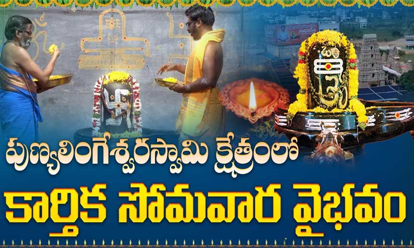Sri Punyalingeswara Swamy Kshetram
