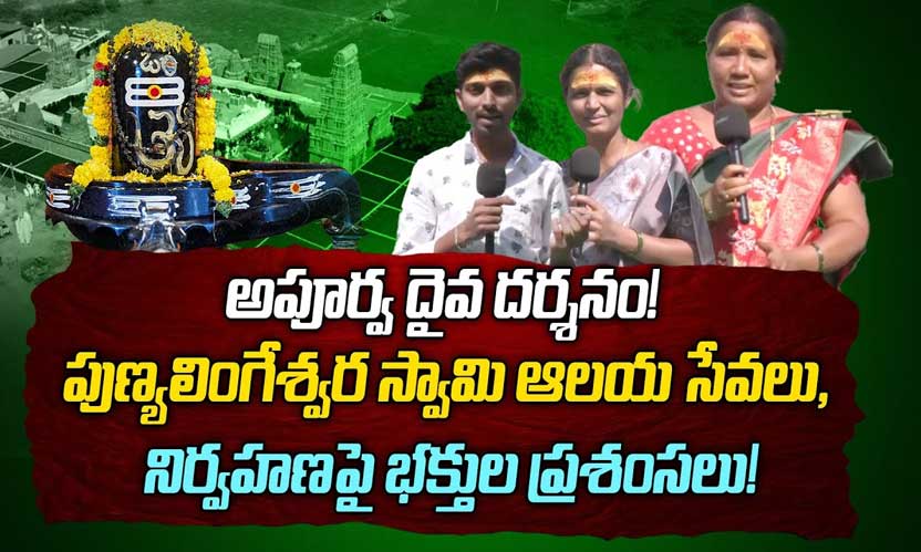 Devotee Experiences at Sri Punyalingeswara Swamy Temple
