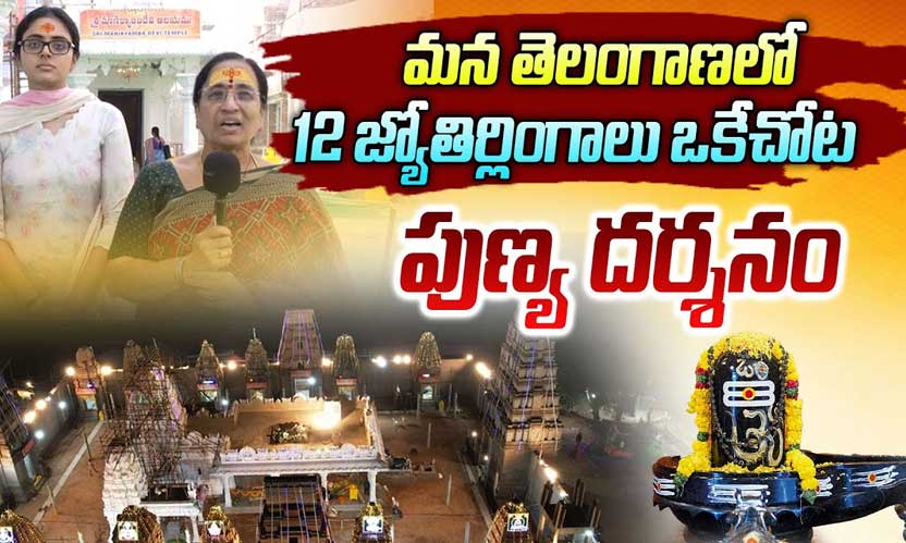 Sri Punyalingeswara Swamy Kshetram