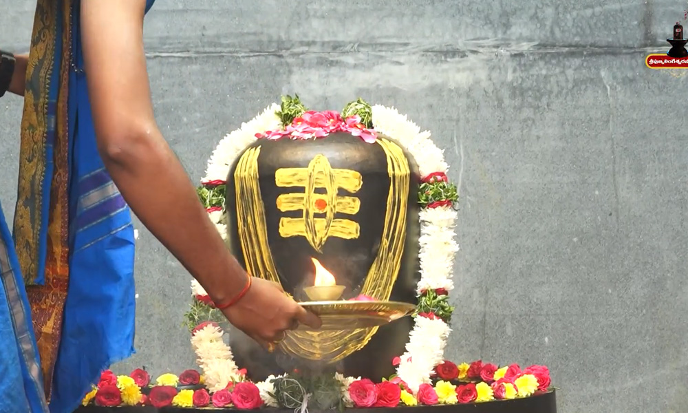 Sri Punyalingeswara Swamy Kshetram