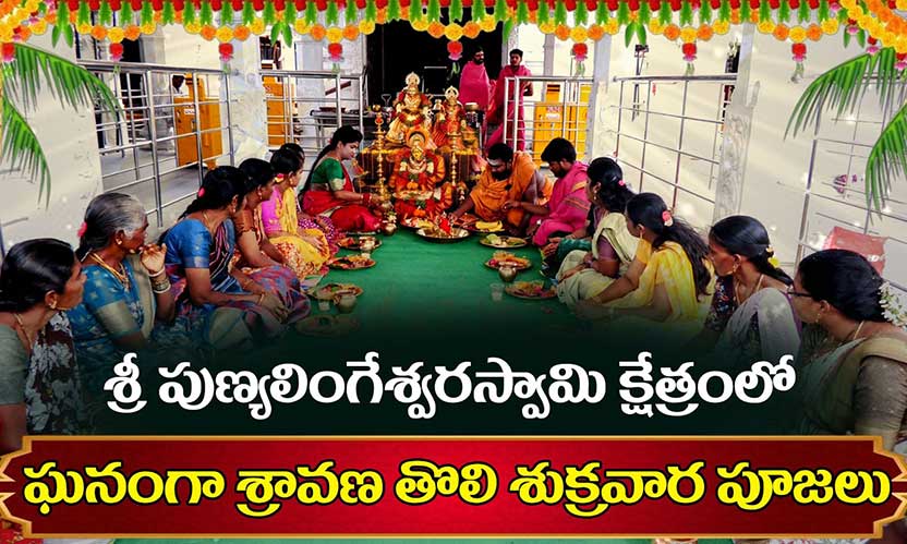 Sri Punyalingeswara Swamy Kshetram