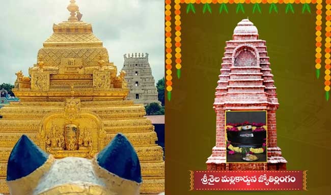 Jyothirlinga Abhishekam3